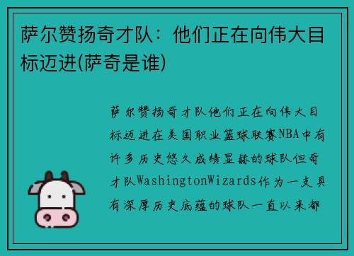 萨尔赞扬奇才队：他们正在向伟大目标迈进(萨奇是谁)